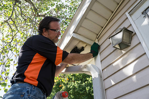 Affordable siding repair and maintenance services in Longview Heights, WA